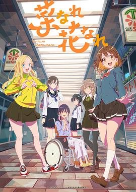 石景山网站推广优化方案